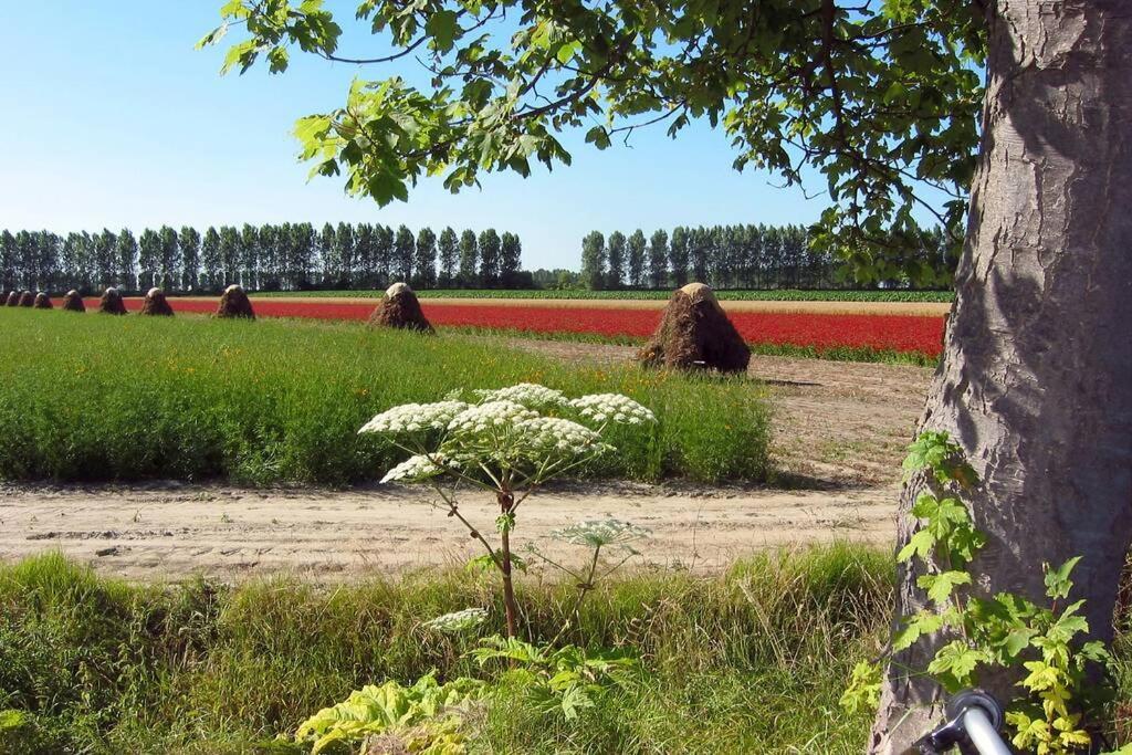 Logeren Op De Thoolse Parel Vakantiehuis Stavenisse Екстериор снимка