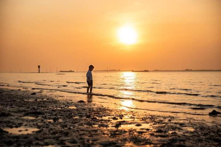 Logeren Op De Thoolse Parel Vakantiehuis Stavenisse Екстериор снимка